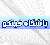 باشگاه ورزشی فیتکو