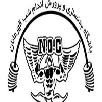 شب قهرمانان