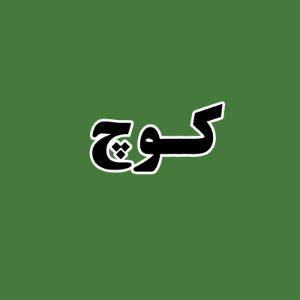 کلینیک روانکاوی کوچ 