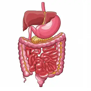متخصص جراحی فوق تخصص جراحی سرطان و گوارش دکتر...